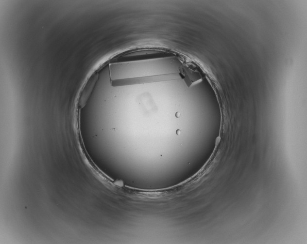 X0000115791342200911131019