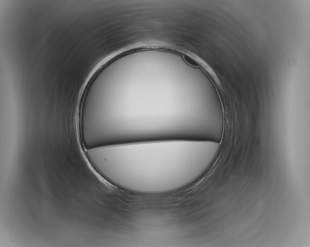 X0000115791343200911131019