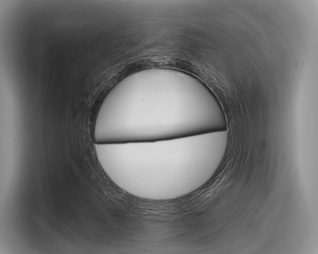 X0000115791347200911131018