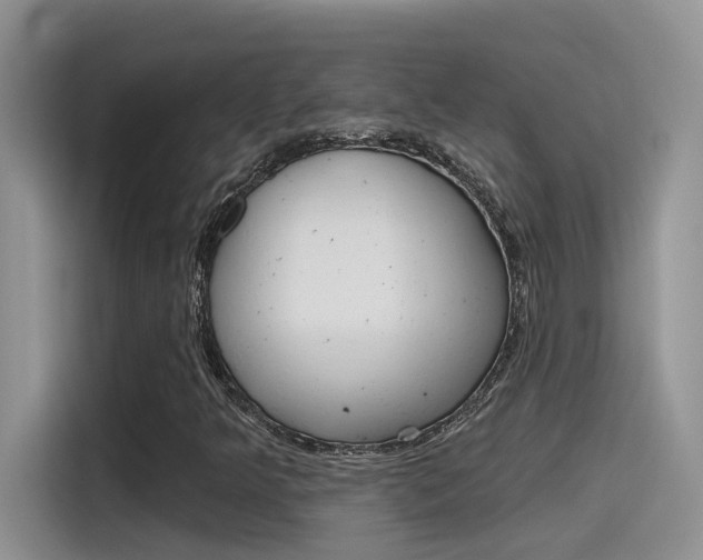 X0000115791349200911131018