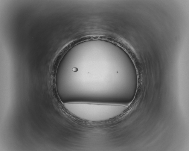 X0000115791352200911131018