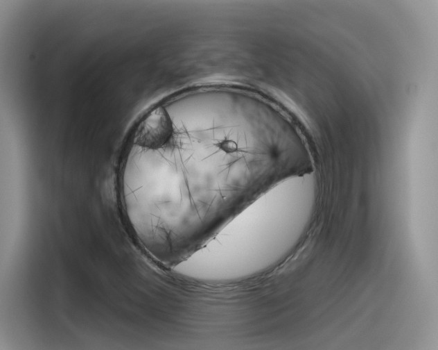 X0000115791356200911131018