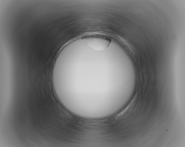 X0000115791361200911131018
