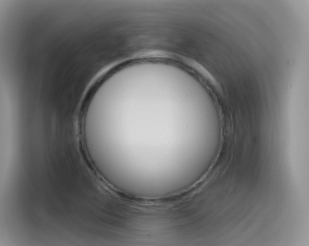 X0000115791364200911131018