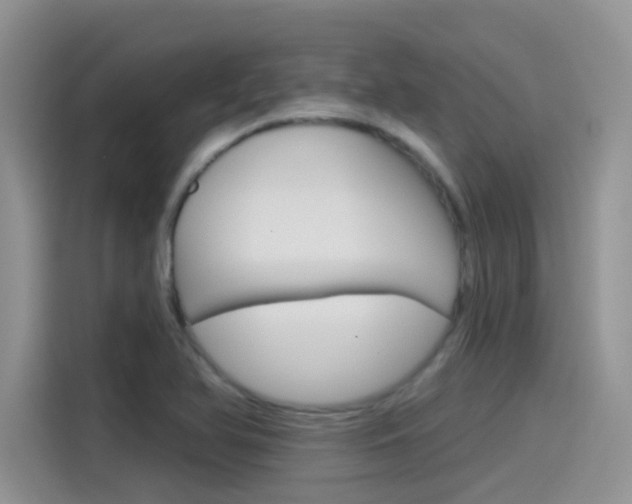 X0000115791366200911131018