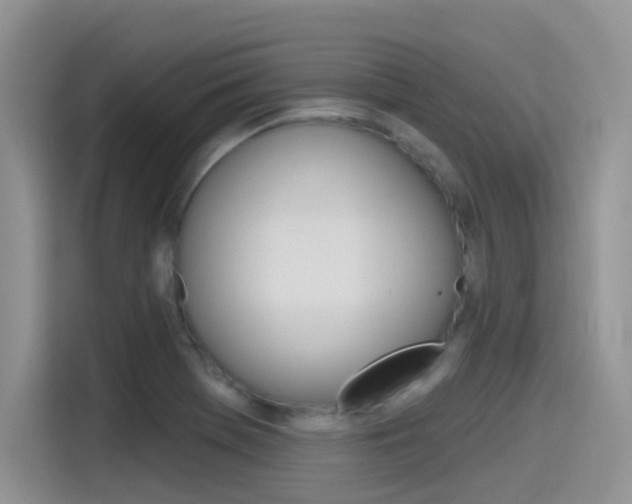 X0000115791369200911131018