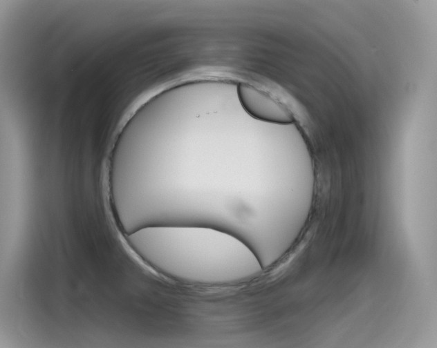 X0000115791382200911131018