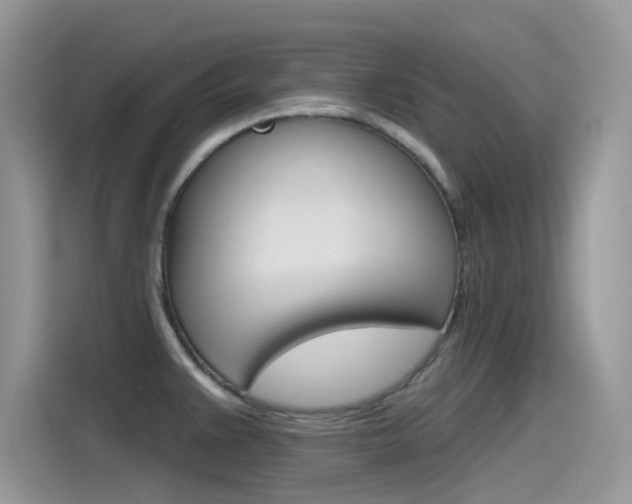 X0000115791383200911131018