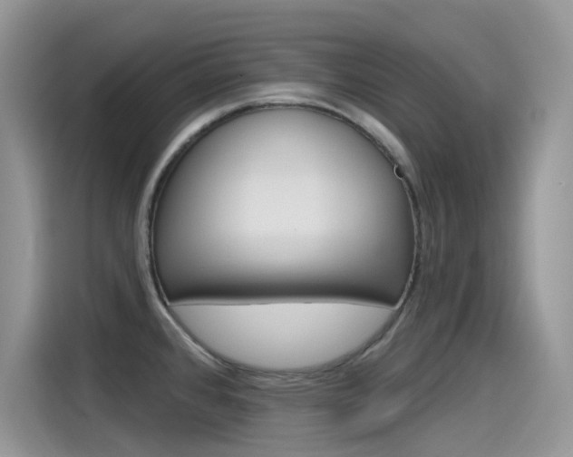 X0000115791384200911131018