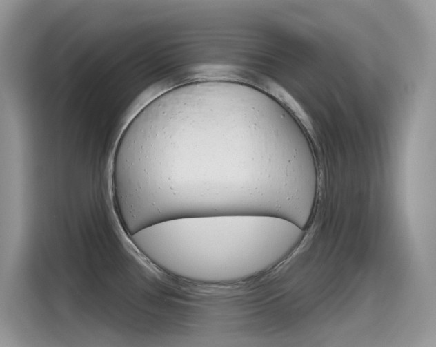 X0000115791386200911131018