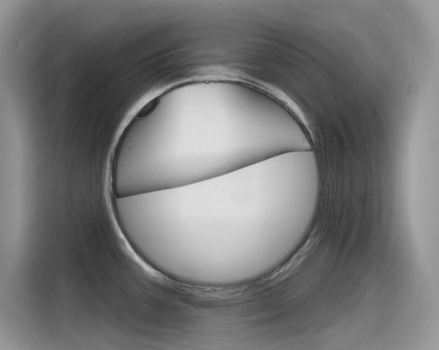 X0000115791387200911131017