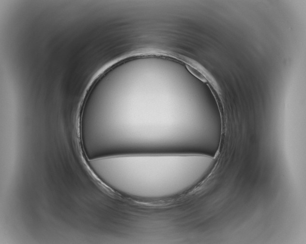 X0000115791388200911131017