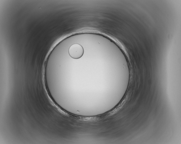 X0000115791390200911131017