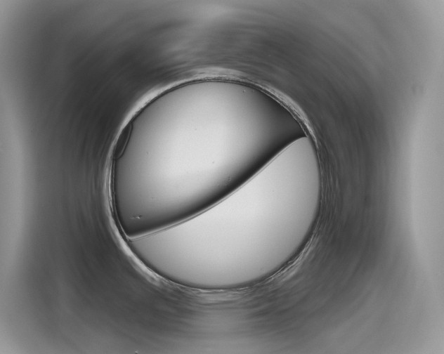 X0000115791391200911131017