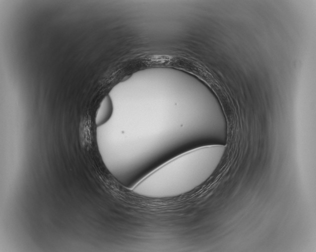 X0000115791394200911131017