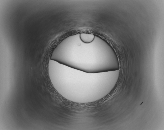 X0000115791398200911131017