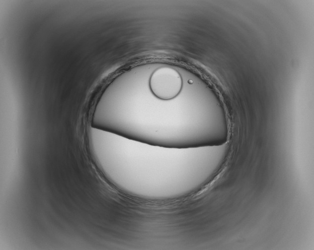 X0000115791402200911131017