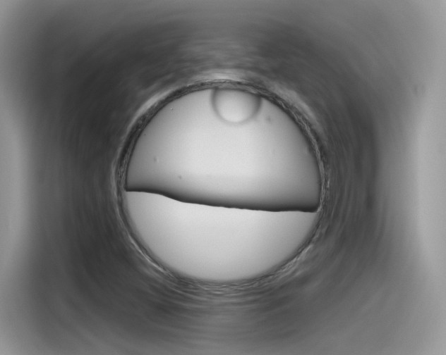 X0000115791404200911131017