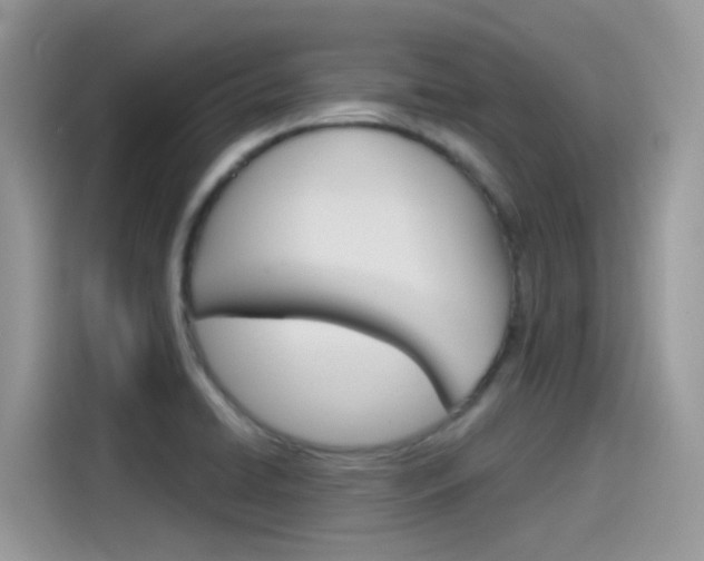X0000115791422200911131017