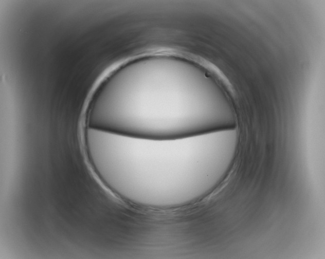 X0000115791424200911131017