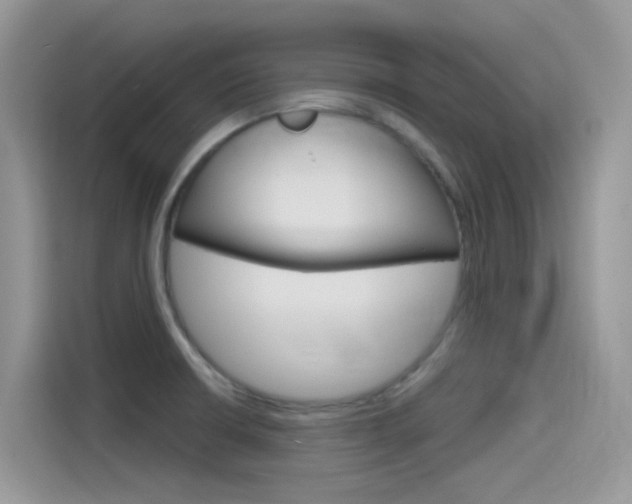 X0000115791426200911131017