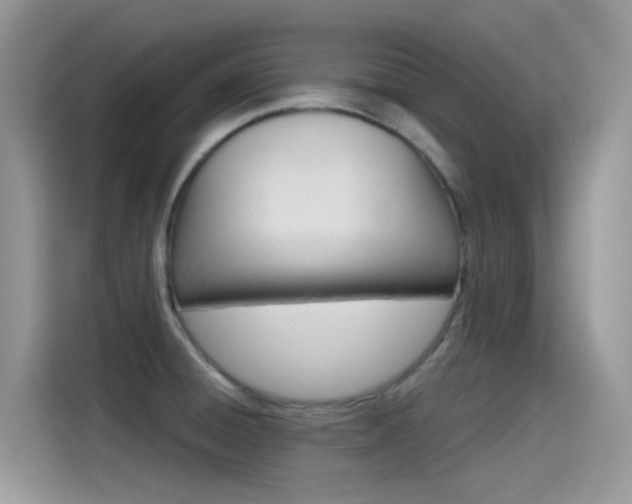 X0000115791428200911131017