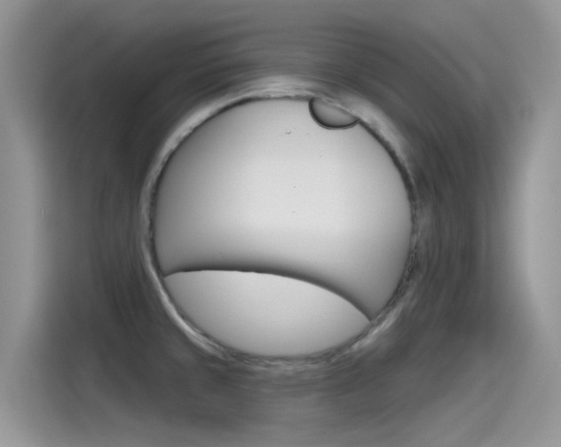 X0000115791429200911131017