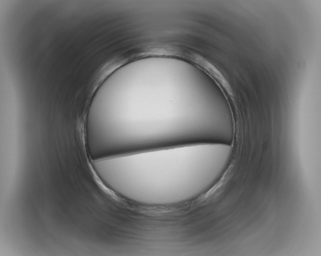 X0000115791433200911131017