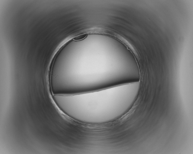 X0000115791434200911131017