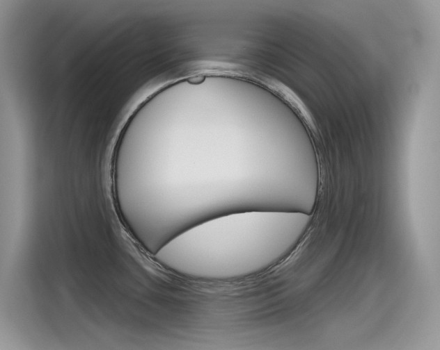 X0000115791435200911131017