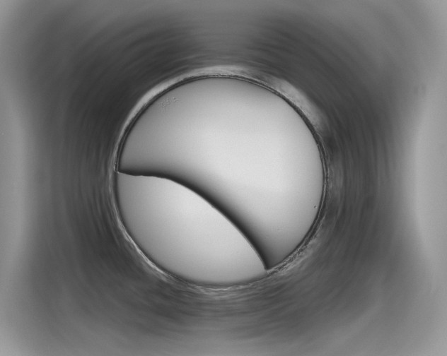 X0000115791436200911131017