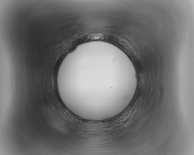 X0000115791442200911131017