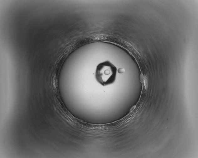 X0000115791444200911131017