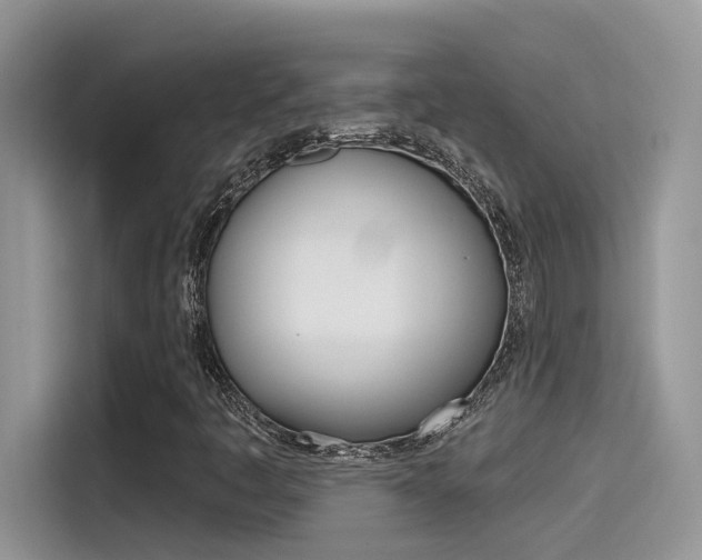 X0000115791445200911131017