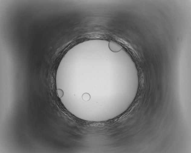 X0000115791446200911131017