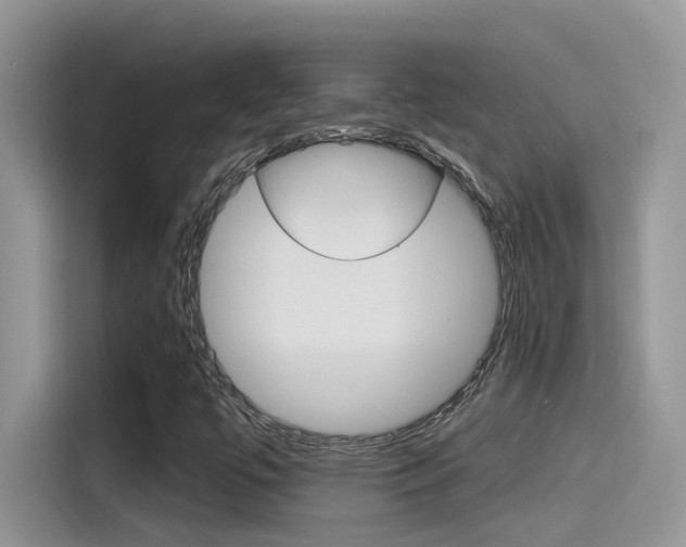 X0000115791447200911131017