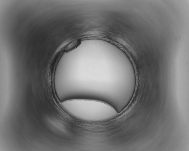 X0000115791450200911131017
