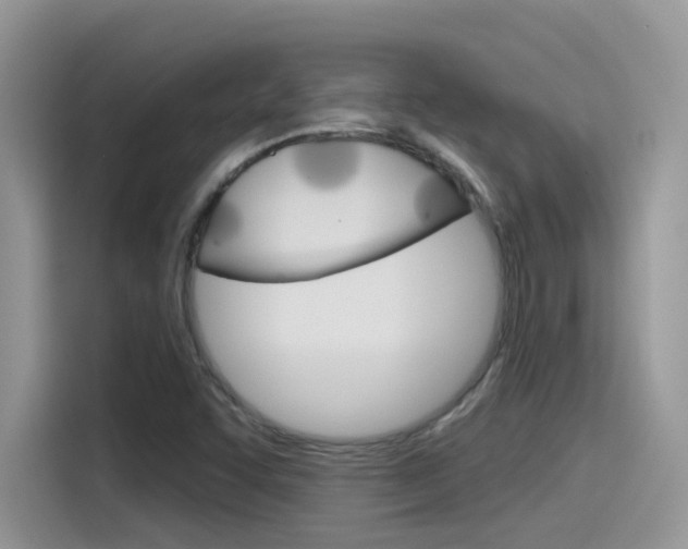 X0000115791455200911131017