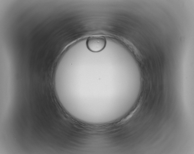 X0000115791457200911131017