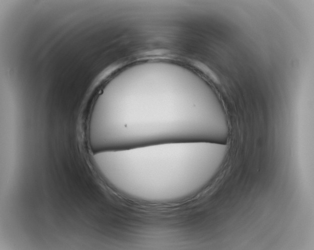 X0000115791458200911131017