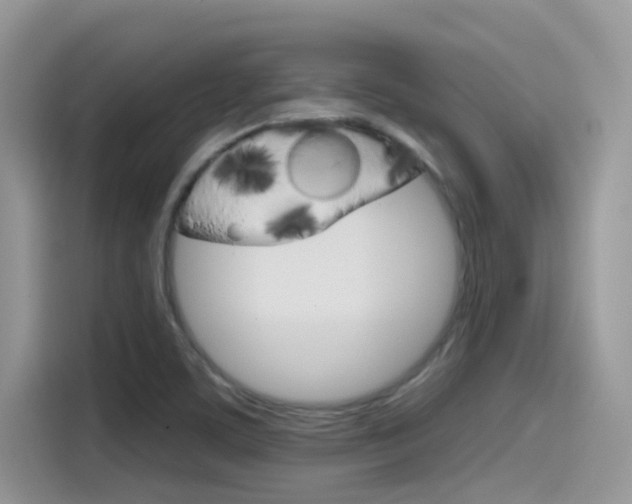 X0000115791459200911131017