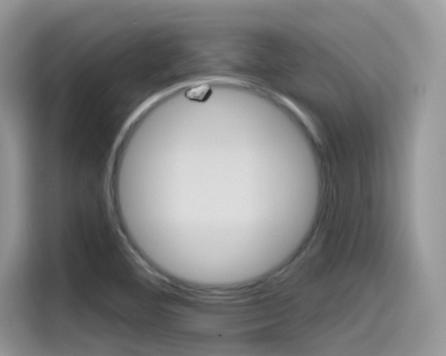 X0000115791460200911131017