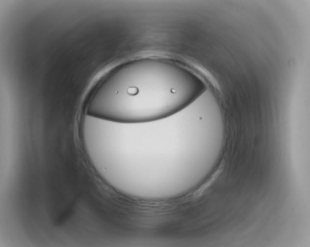 X0000115791461200911131017