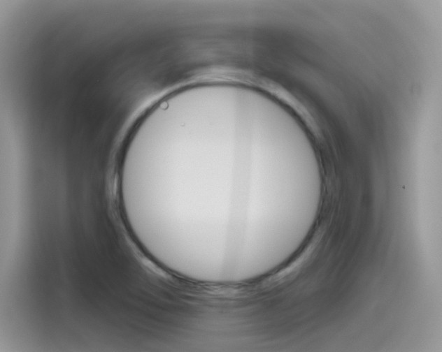 X0000115791462200911131017