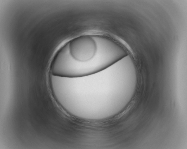 X0000115791463200911131016