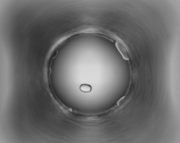 X0000115791464200911131016