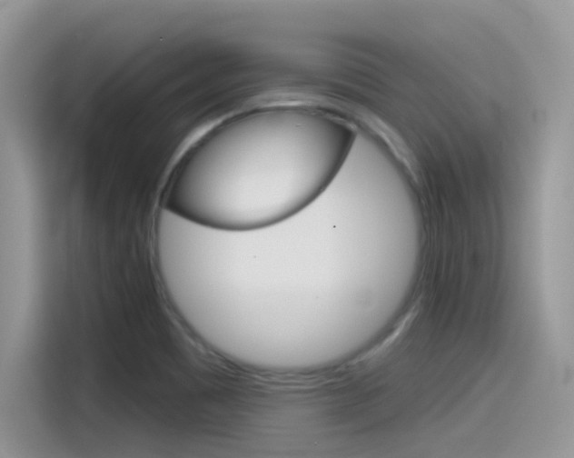 X0000115791465200911131016