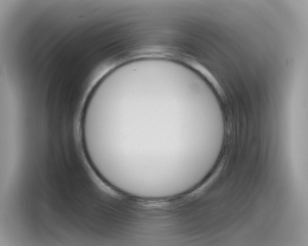 X0000115791466200911131016