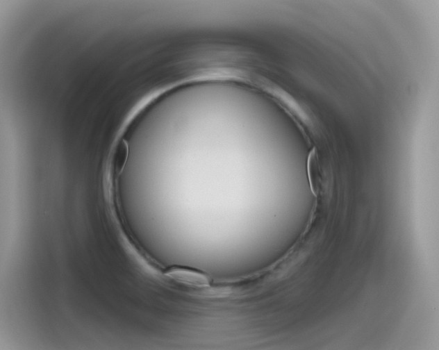 X0000115791468200911131016