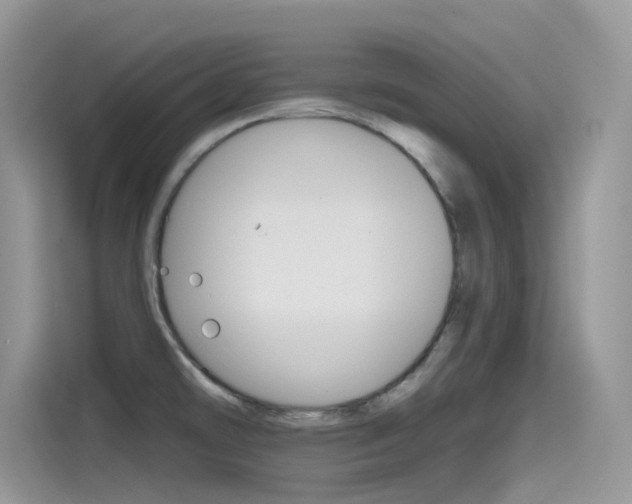 X0000115791478200911131016